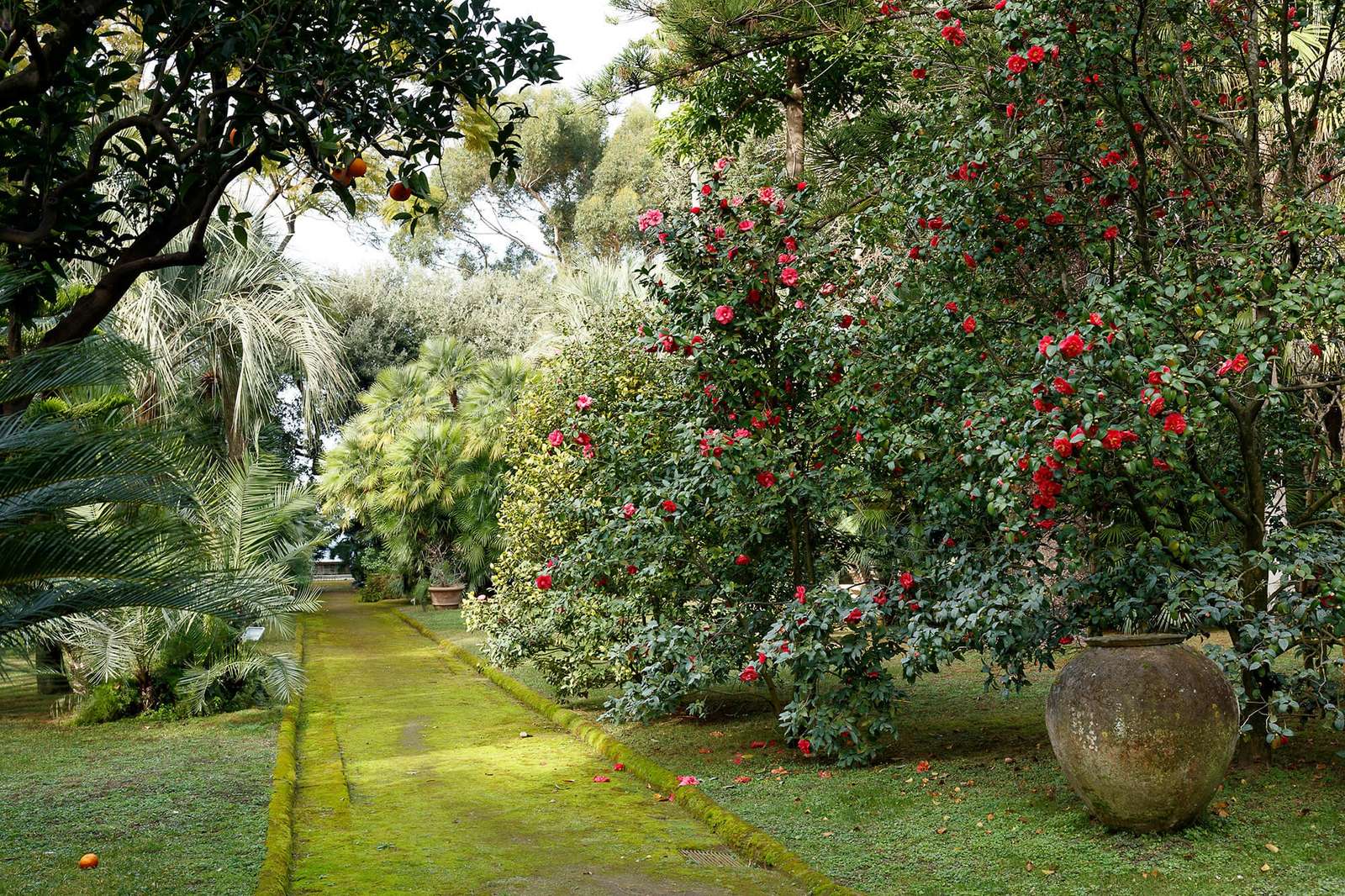 Property image 43