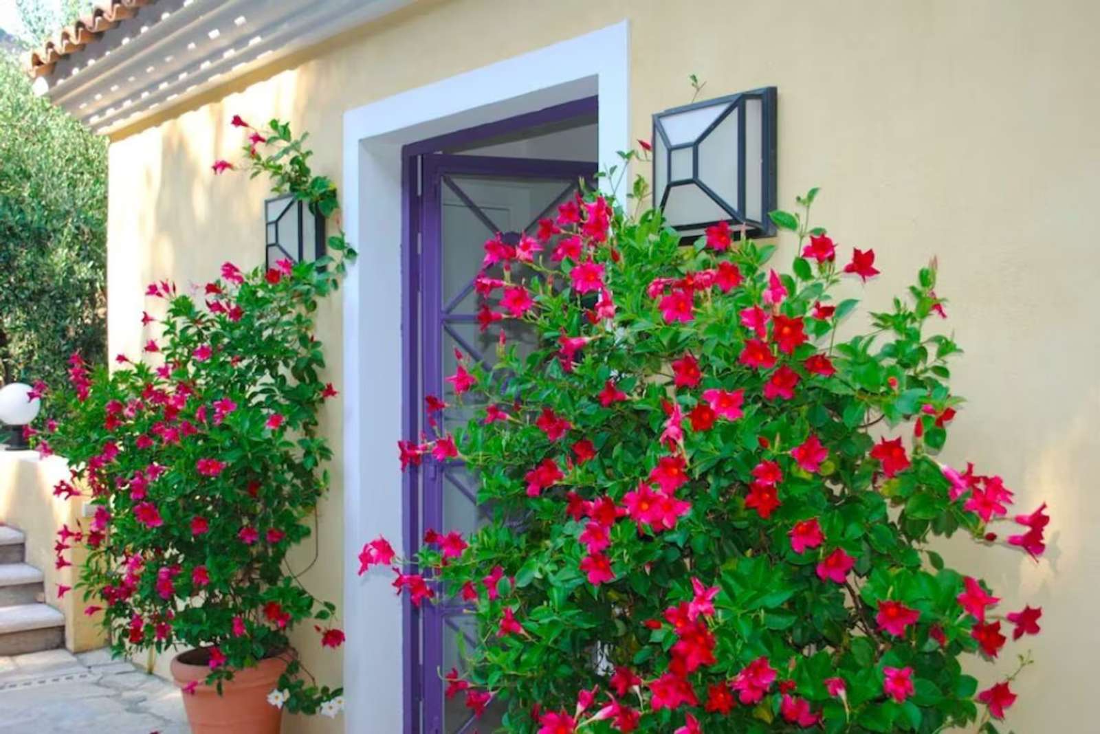 Property image 32