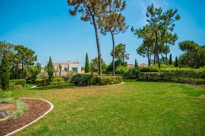 Large Garden