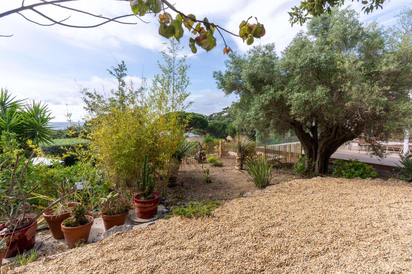 Property image 46