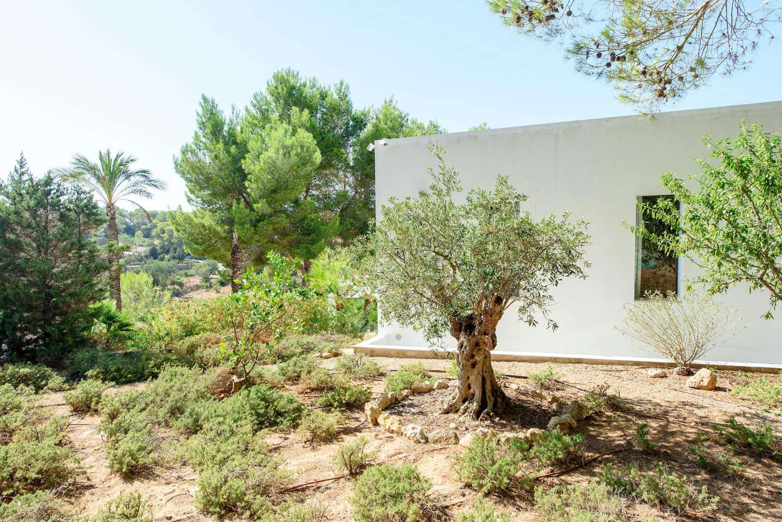 Property image 68