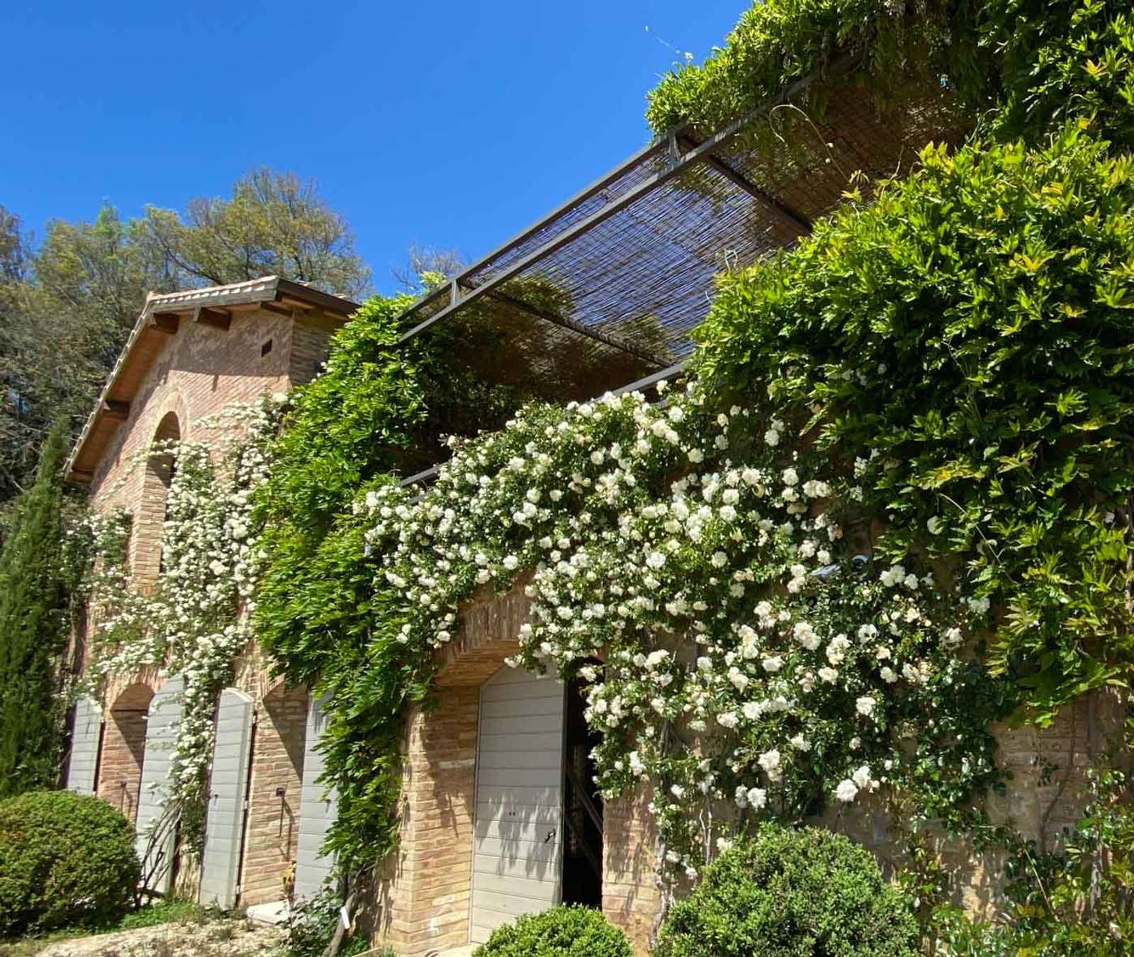 Property image 40