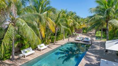 Tropical Gardens