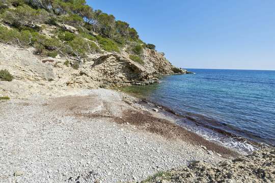 Walk To Beach
