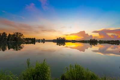 Lake Views