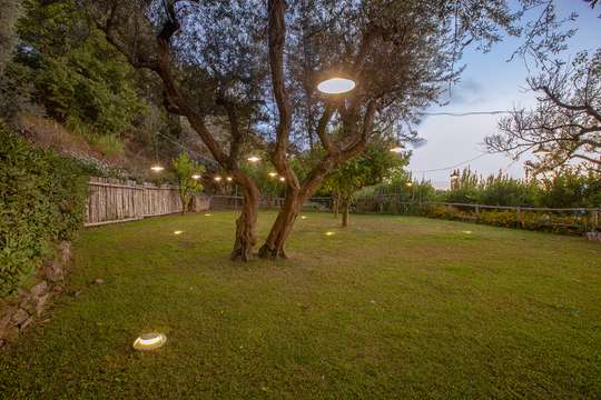 Manicured Garden
