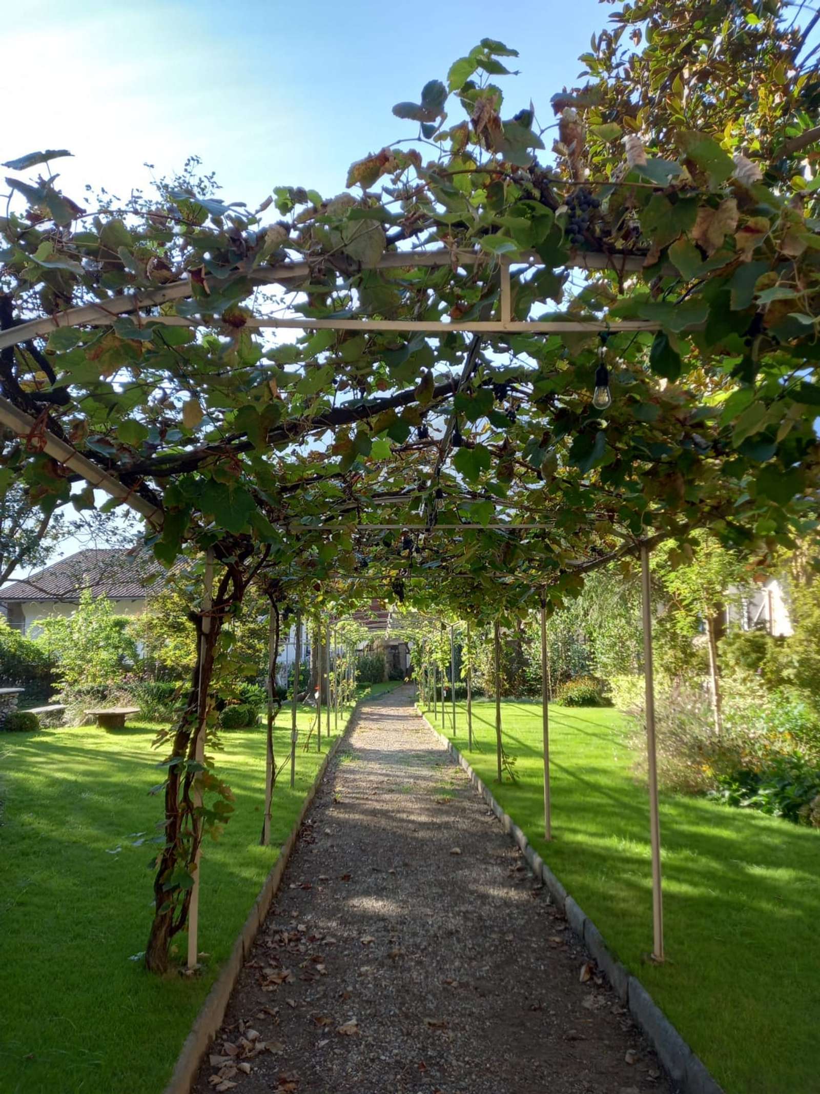 Property image 39