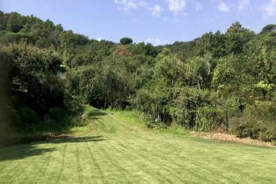 Manicured Garden