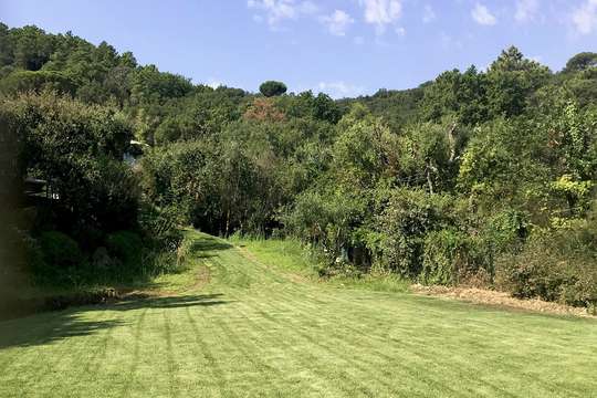 Manicured Garden