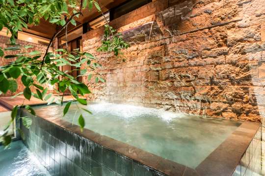 Wellness Area