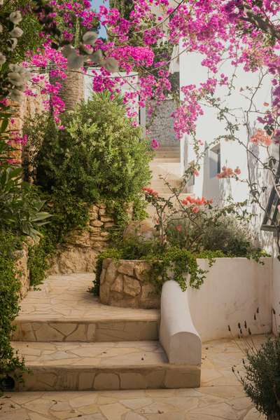 Tranquil Environment