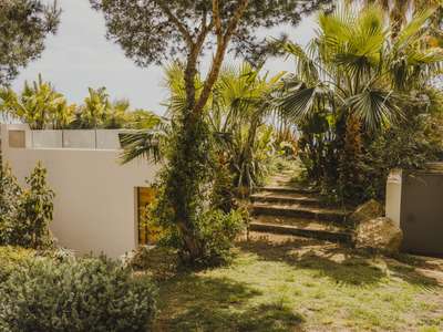 Fruit & Vegetable Garden