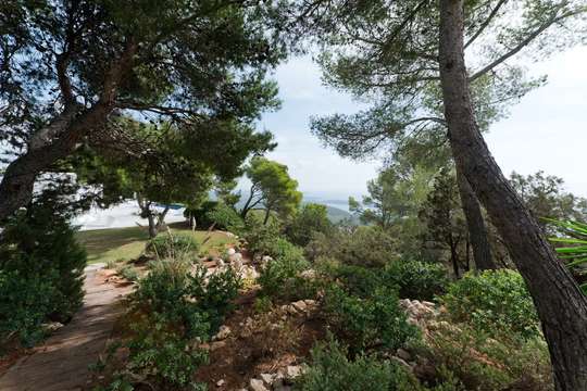 Mediterranean Garden