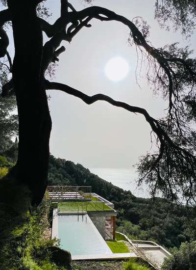 Stunning infinity pool at Villa Panorama framed by a majestic tree, offering breathtaking panoramic sea views in Corfu.