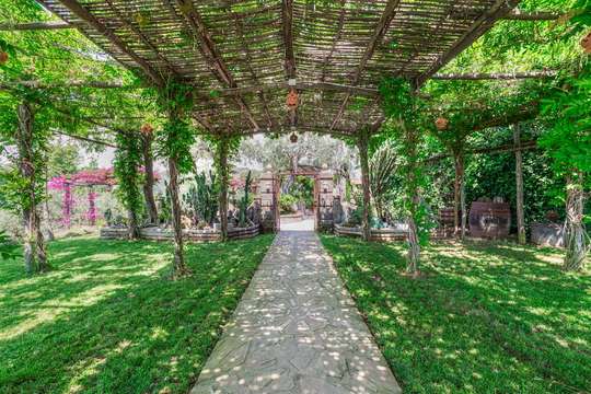Manicured Garden