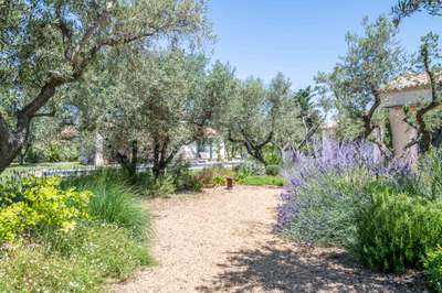 Mediterranean Garden