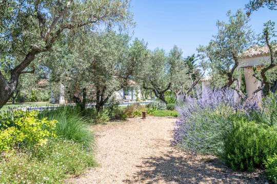 Mediterranean Garden