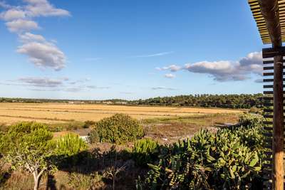 Country Views