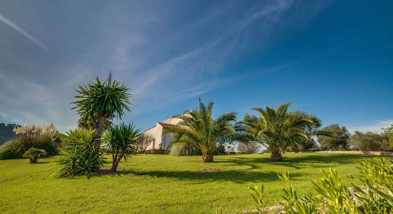 Property image 39