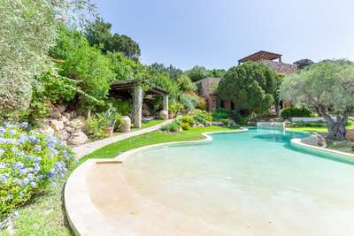 Freeform Pool