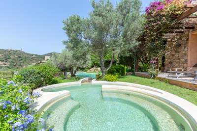 Plunge Pool
