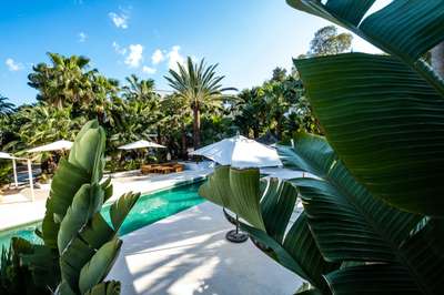 Tranquil Environment