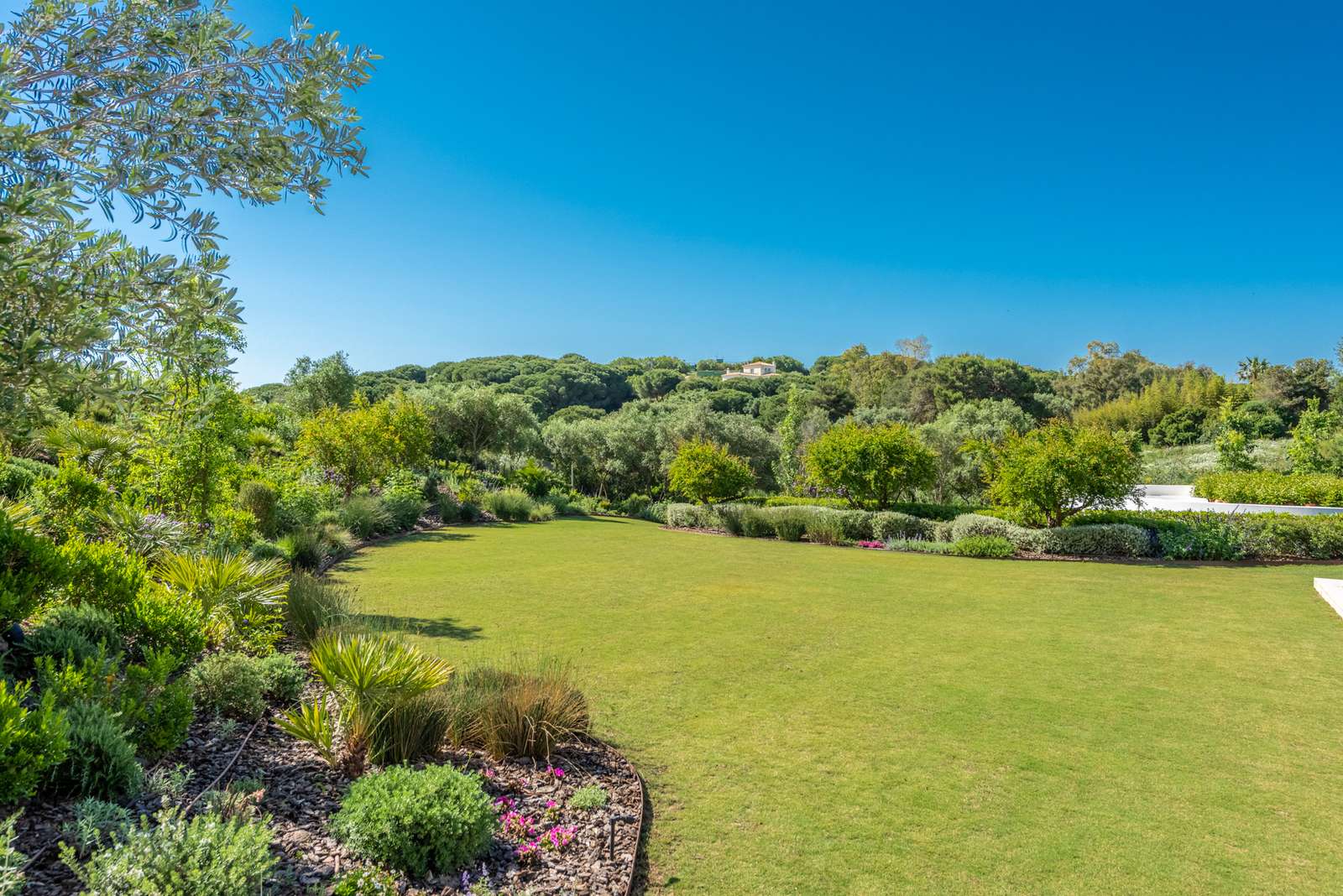 Property image 50