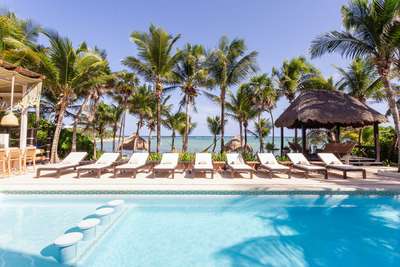 Great for Families & Groups