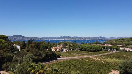 Sea Views